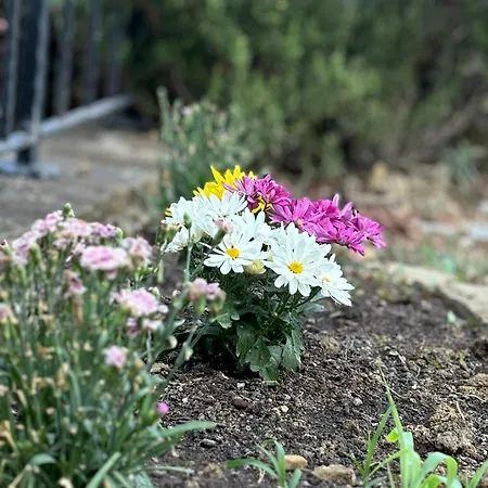 360 * בפורטורוז