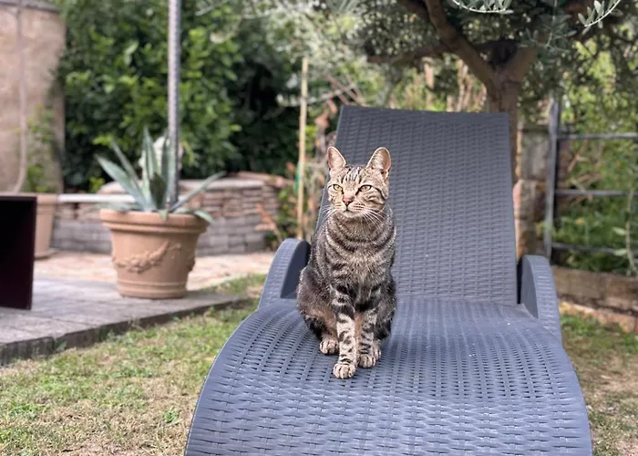 公寓 360 波尔托罗